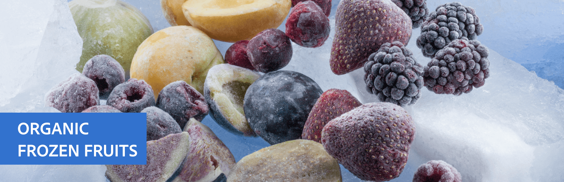 Organic Dried Fruits Slider