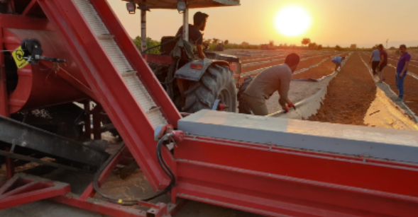 Agricultural Activities