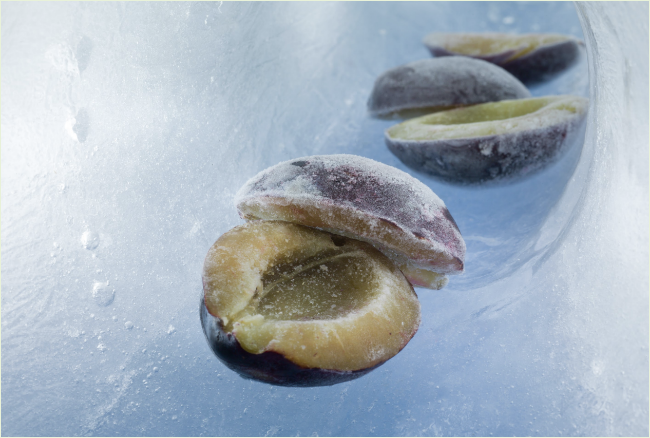 IQF PLUM
