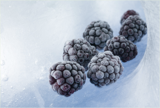 FROZEN BLACKBERRY